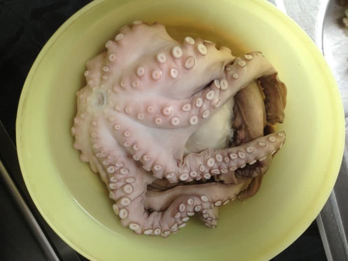  preparation octopus Galician 